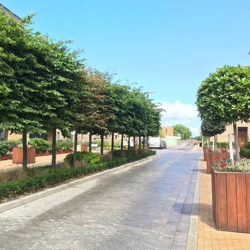 Planning and development